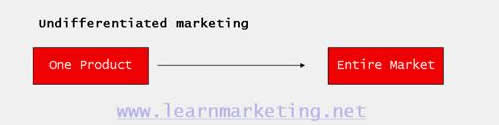 Undifferentiated Marketing Diagram